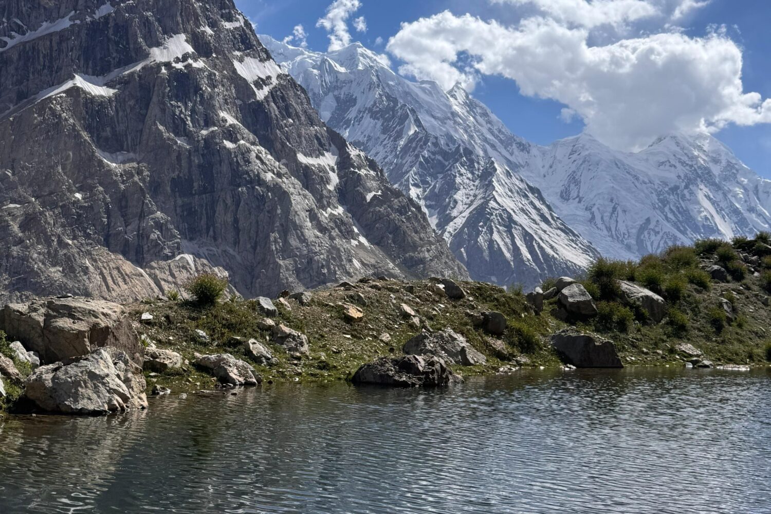 Batura Glacier (Yashpert) Meadow green land