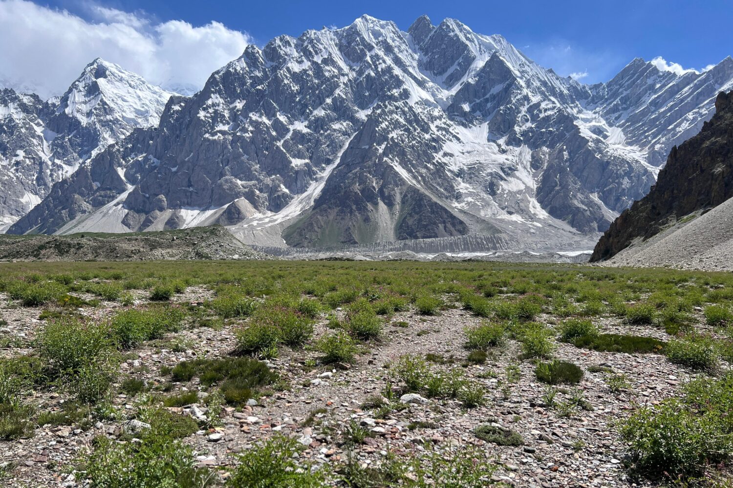 Batura Glacier (Yashpert) Meadow, Kuk Chezam