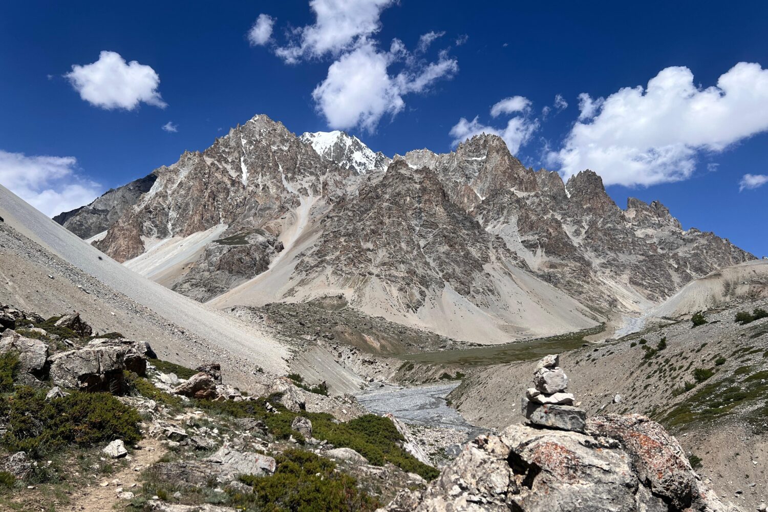 Batura Glacier (Yashpert) Meadow