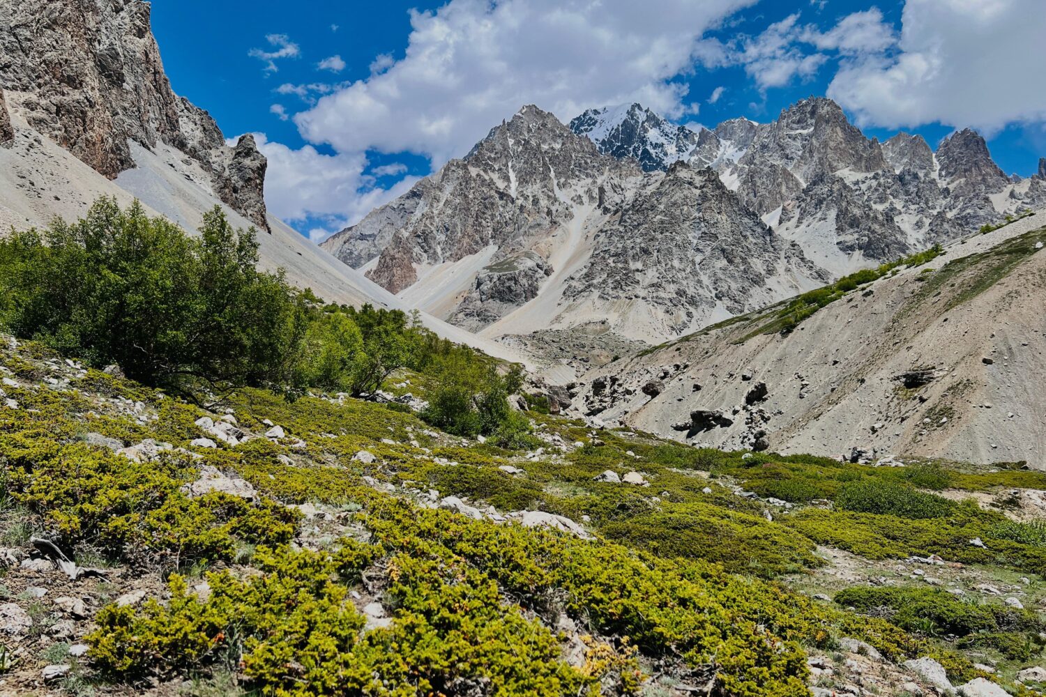Batura Glacier and Yashpirt (Yashpert) Meadow