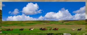 Deosai National Park