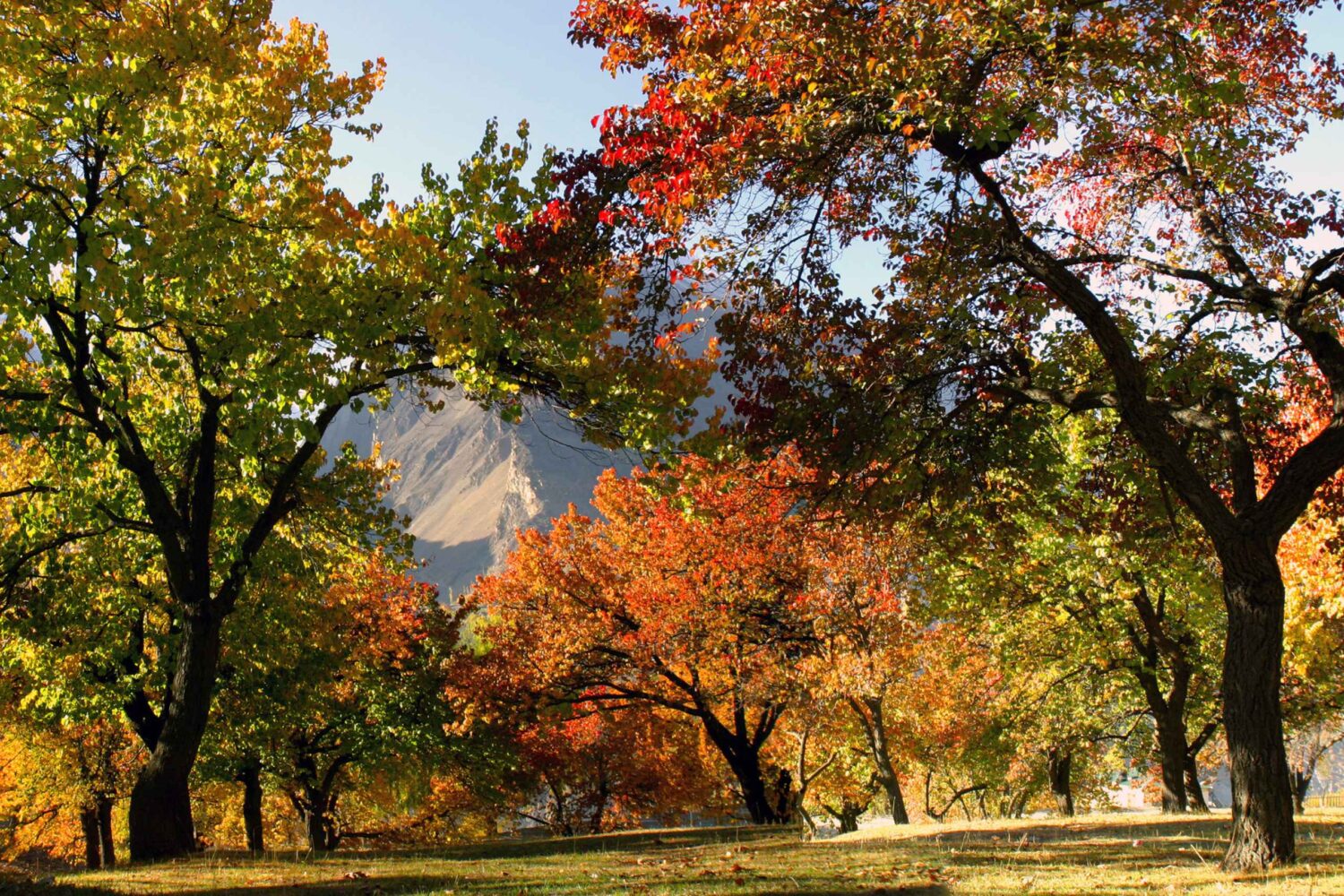 Autumn Hunza valley