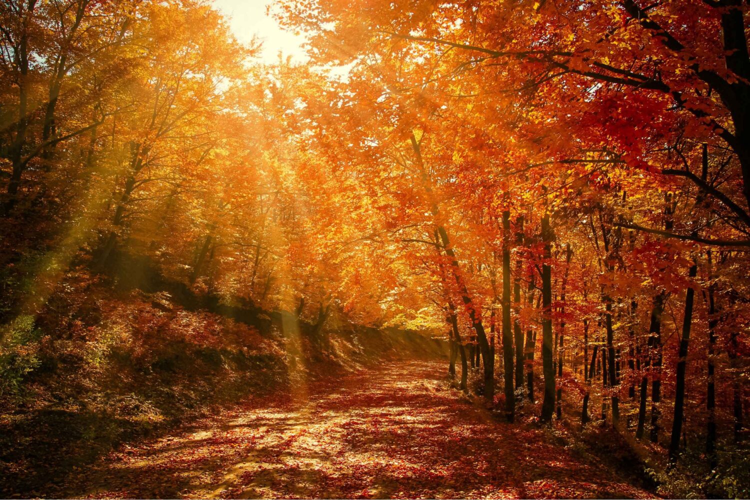 Hunza valley in Autumn