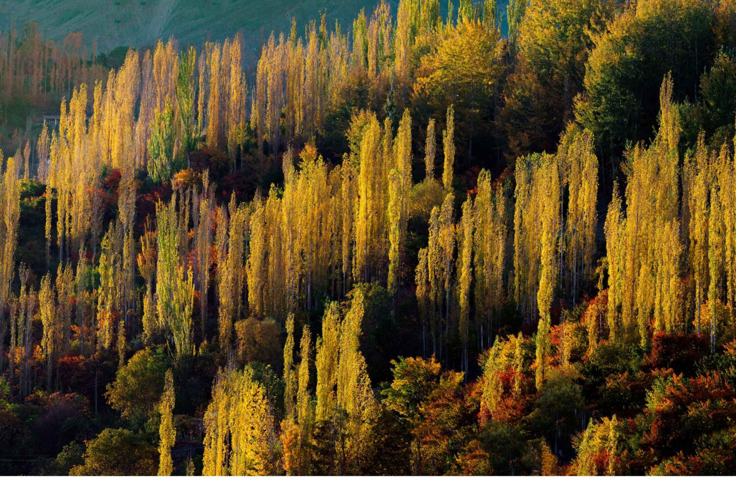 Hunza valley Autumn tour