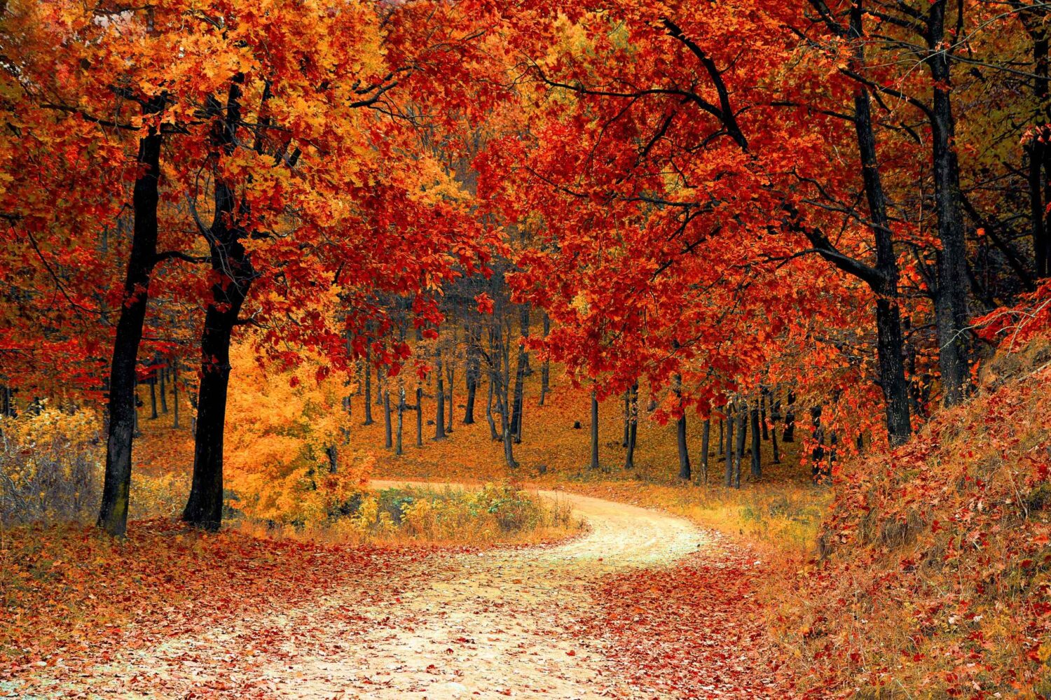 Autumn in Hunza